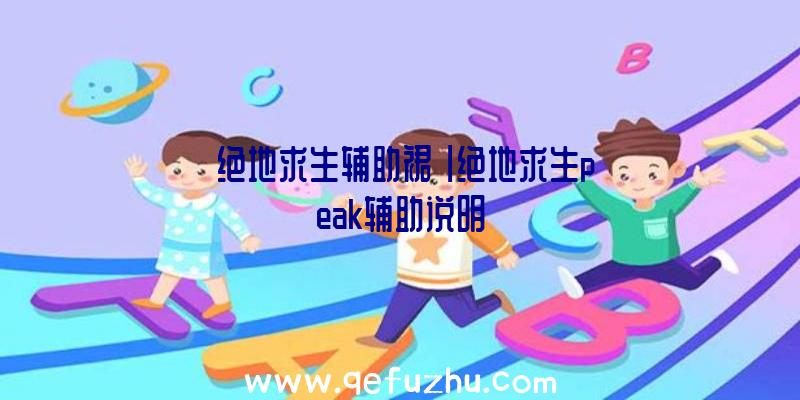 「绝地求生辅助裙」|绝地求生peak辅助说明